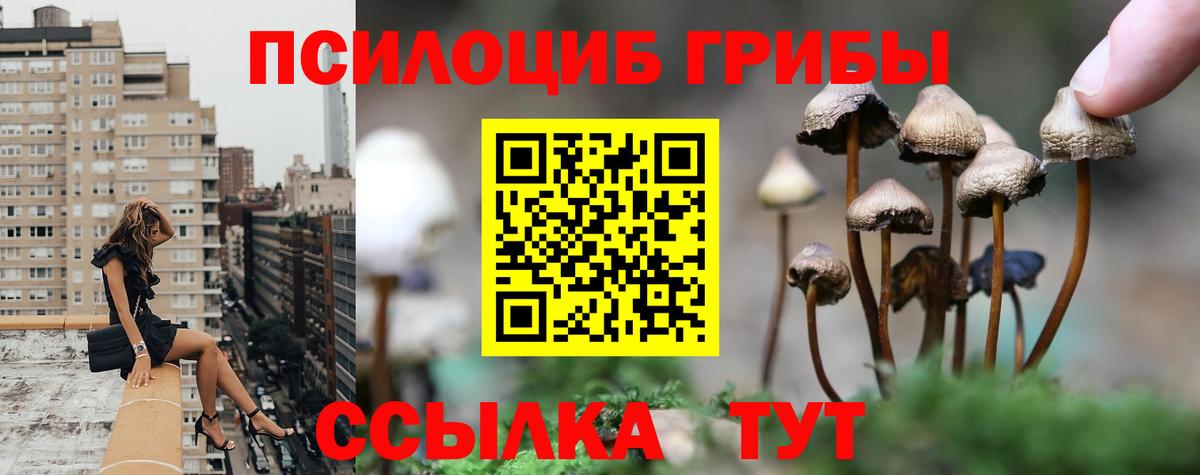 Галлюциногенные грибы Magic Shrooms  Галлюциногенные грибы GOLDEN TEACHER  Вход с VPN  купить закладку  Десногорск 